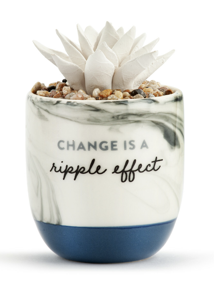 Succulent Oil Diffuser- Change Is A Ripple Effect