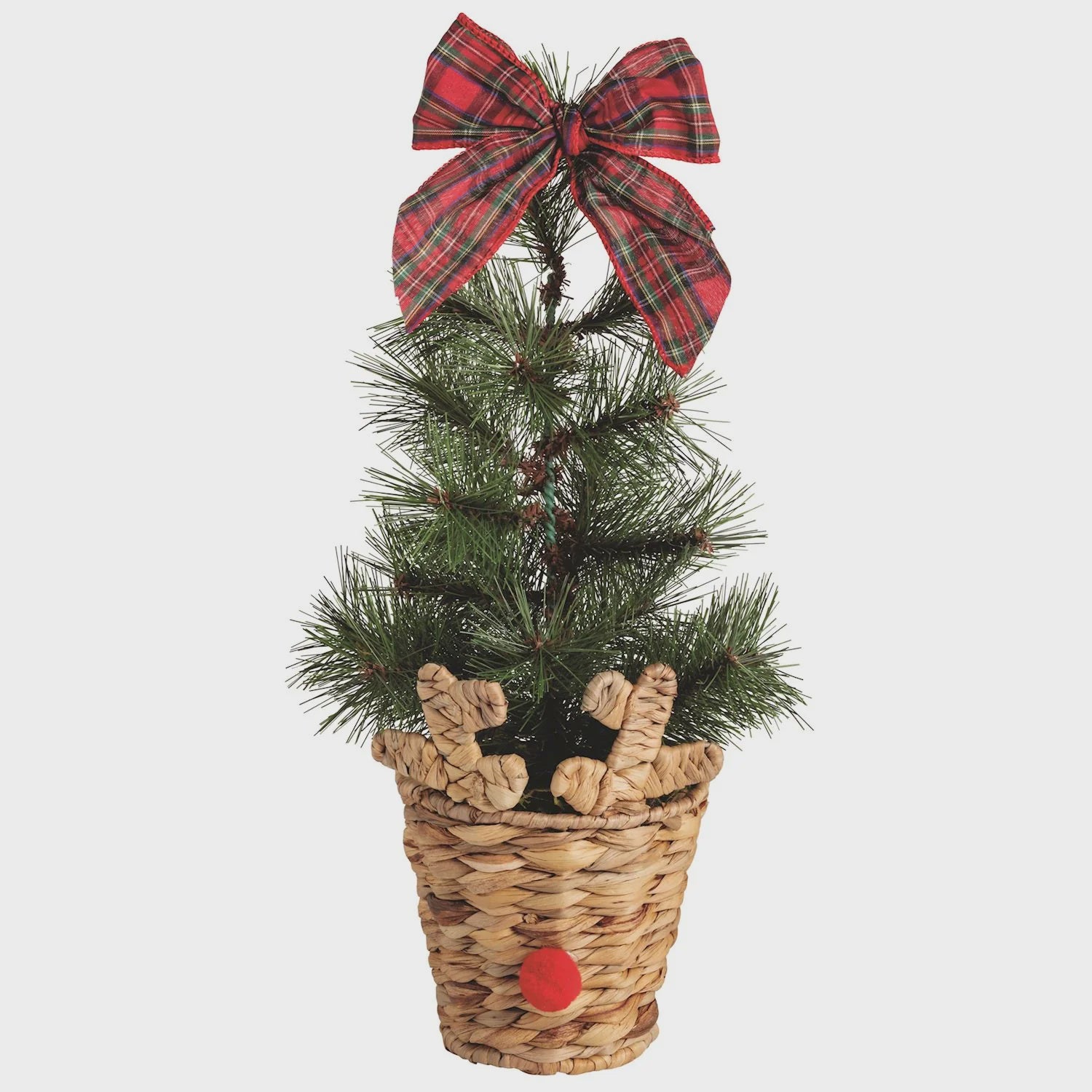 Large Reindeer Basket Fraser Fir Tree