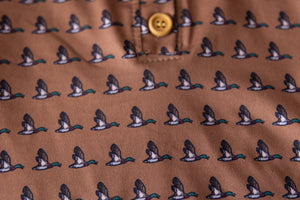 Coyote Mallard Boy Collar Shirt