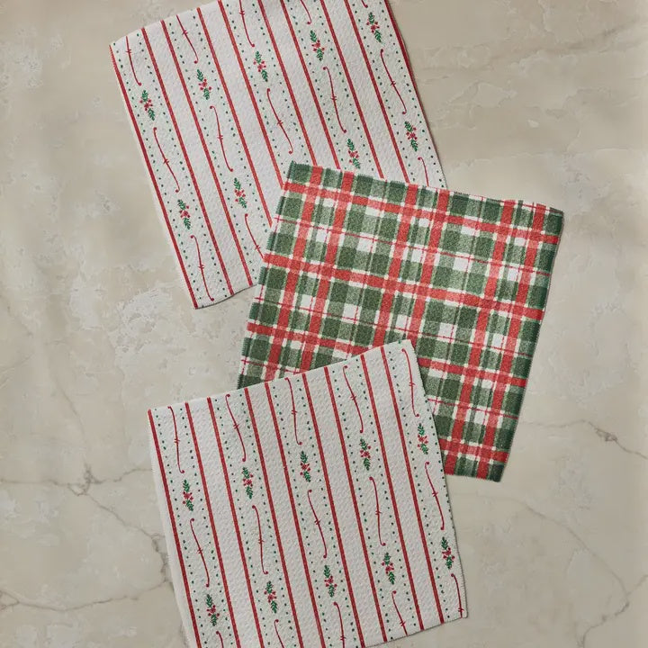 Alpine Winters Dishcloth