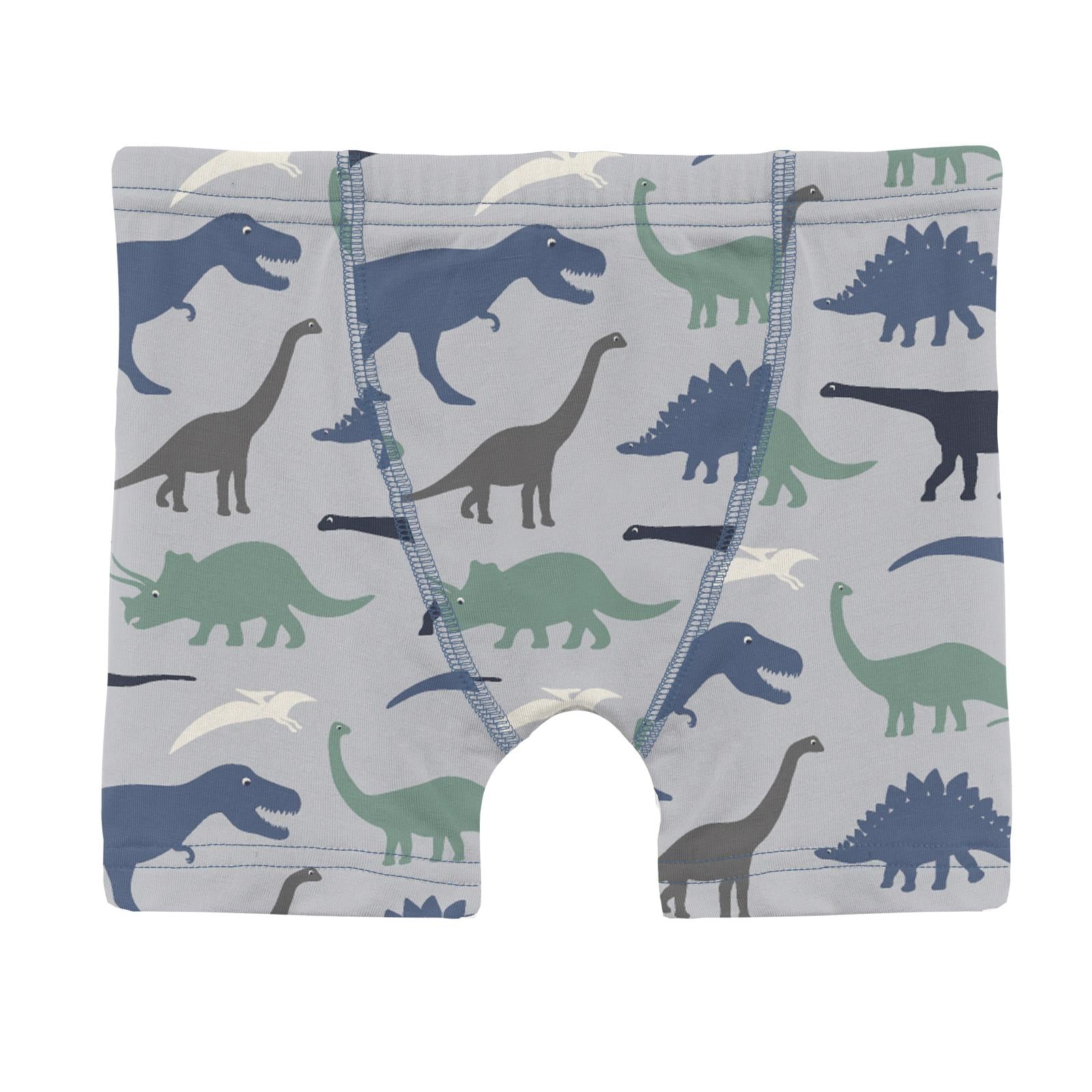 Print Boys Boxer Briefs Dove Dino Museum