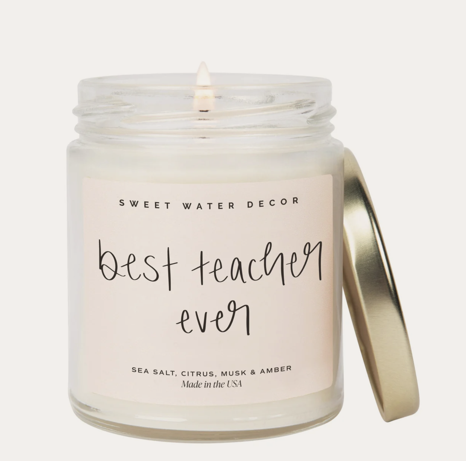 Best Teacher Ever 9oz Candle Sea Salt Citrus Musk