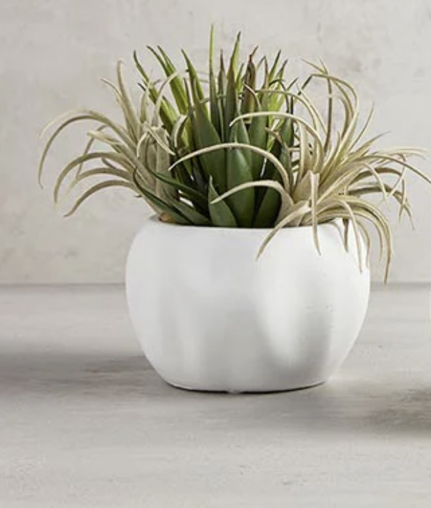 Decorative Asymmetrical Ceramic Planter, 3.5" Tall, White