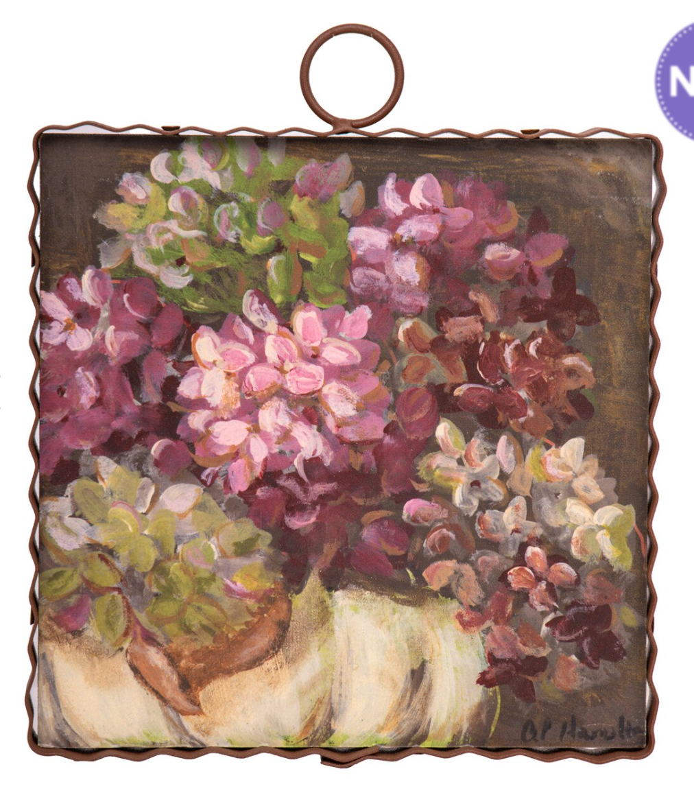 Mini Hamilton Hydrangeas