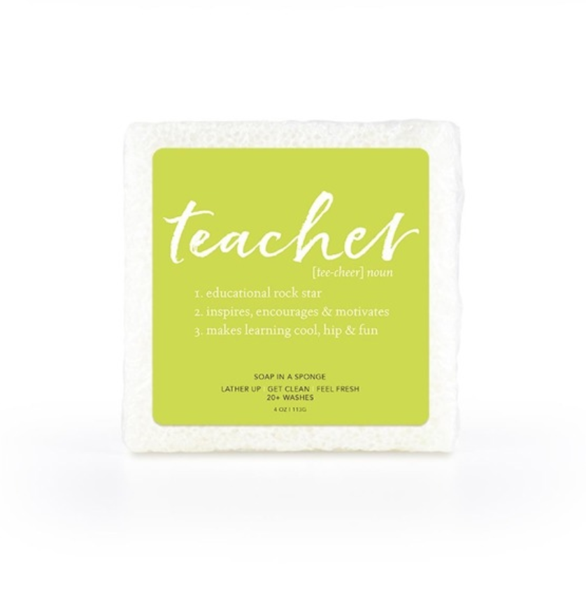 Teacher Soap Sponge