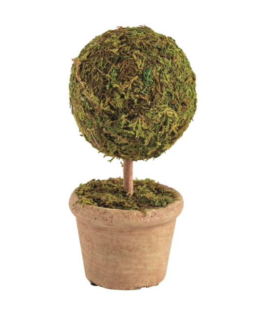 7" Single Moss Covered Topiary
