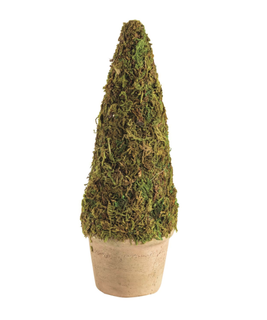 7" Cone Moss Covered Topiary
