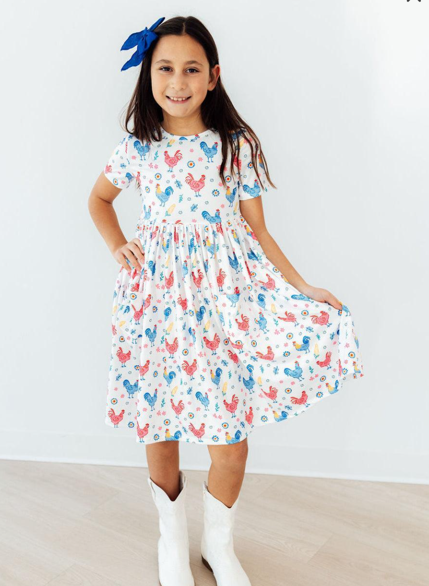 Rainbow Roosters SS Pocket Twirl Dress