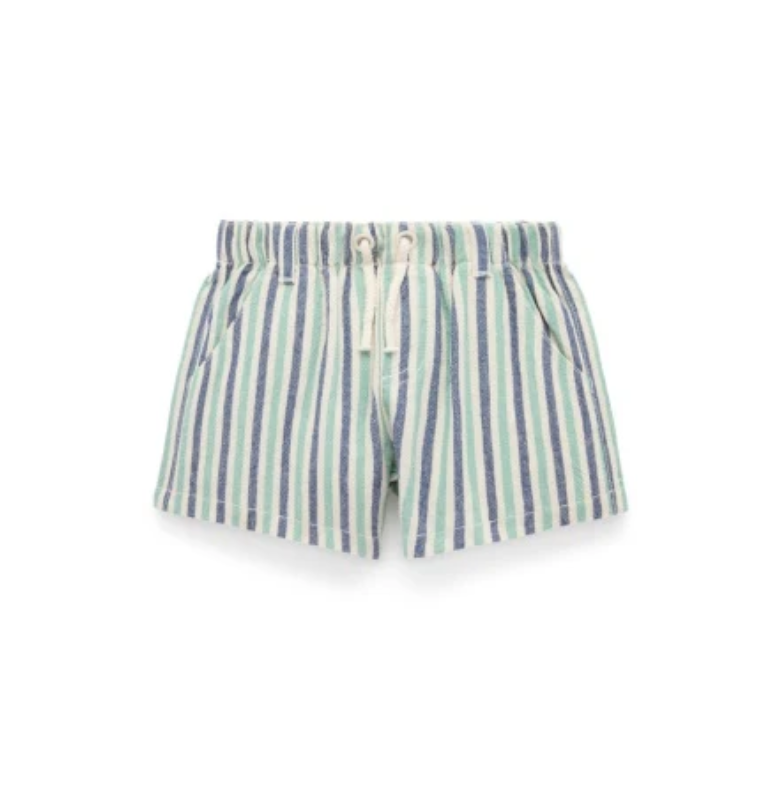 Boy Iguana Stripe Pull On Shorts