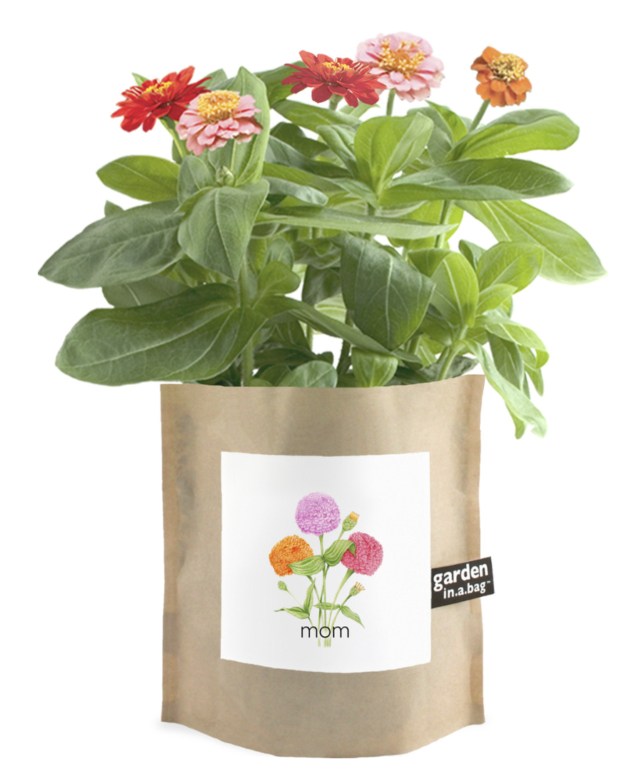 Mothers Day Garden In A Bag