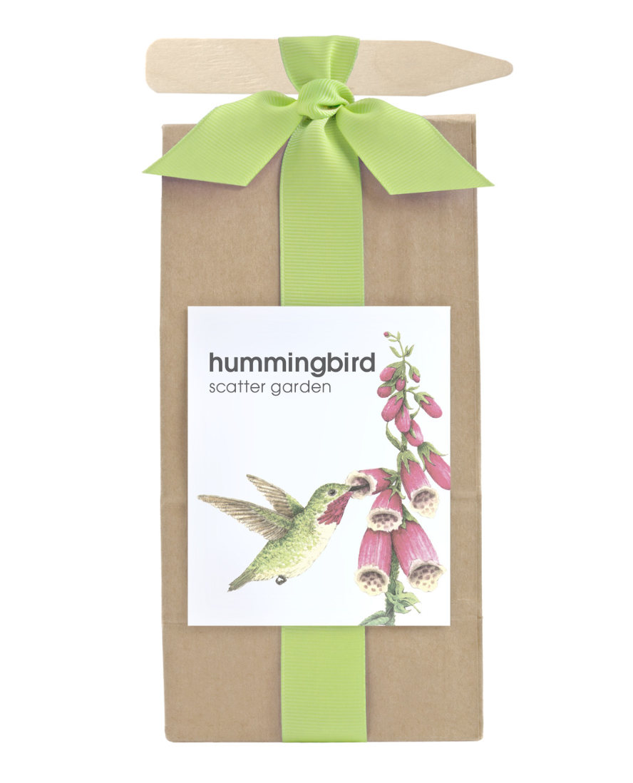 Hummingbird Scatter Garden