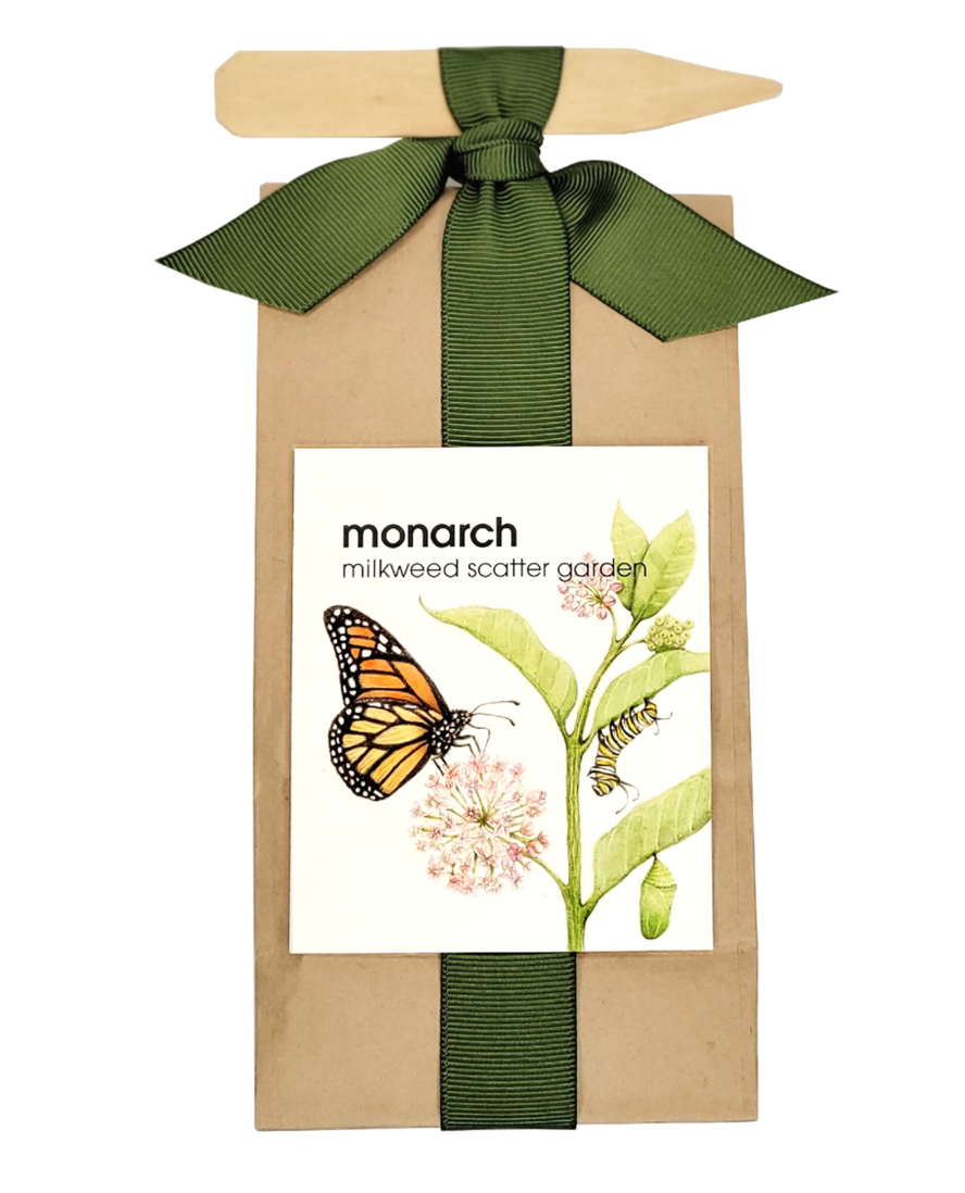 Monarch Butterfly & Milkweed Scatter Garden