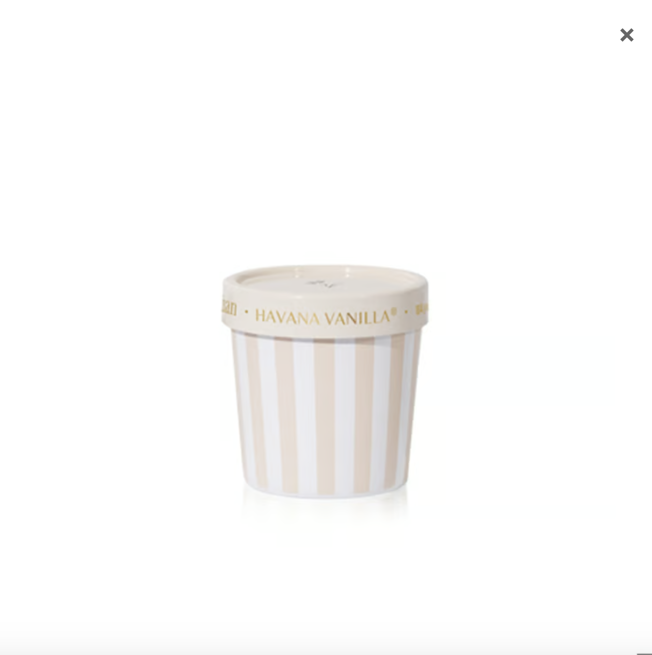 Havana Vanilla Artisan Caffe Capri Gelato Cup 6.5oz