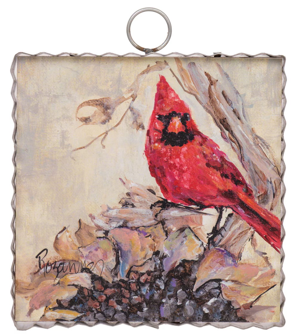 Mini Rozies Cardinal Dried Sunflower