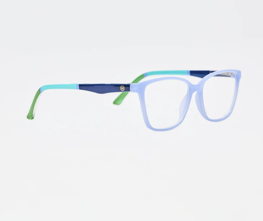 Anamarie Navy Colorblock Readers