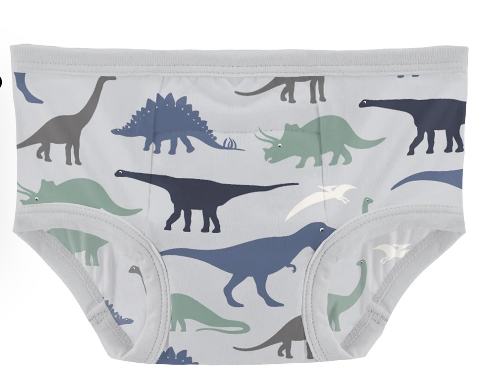 Print Training Pants Dove Dino Museum