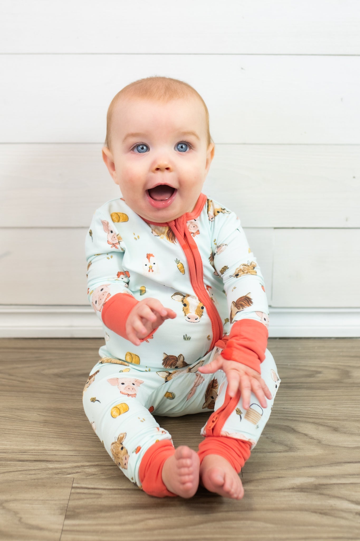 2 Way Zipper Romper Vintage Animals Blue Faces