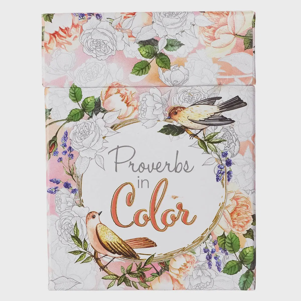 Proverbs In Color