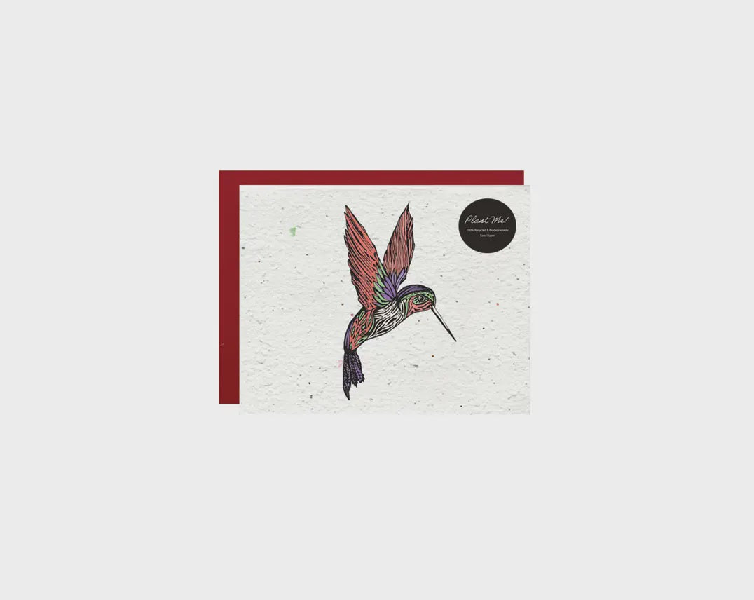 Wildflower Seed Paper Card- Red Hummingbird