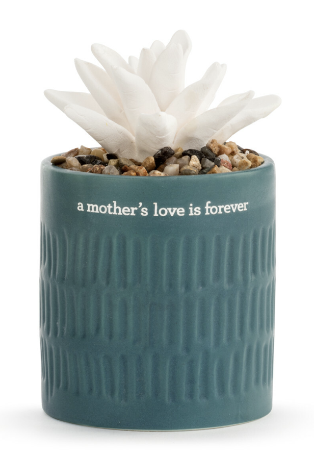 Succulent Oil Diffuser- Mothers Love