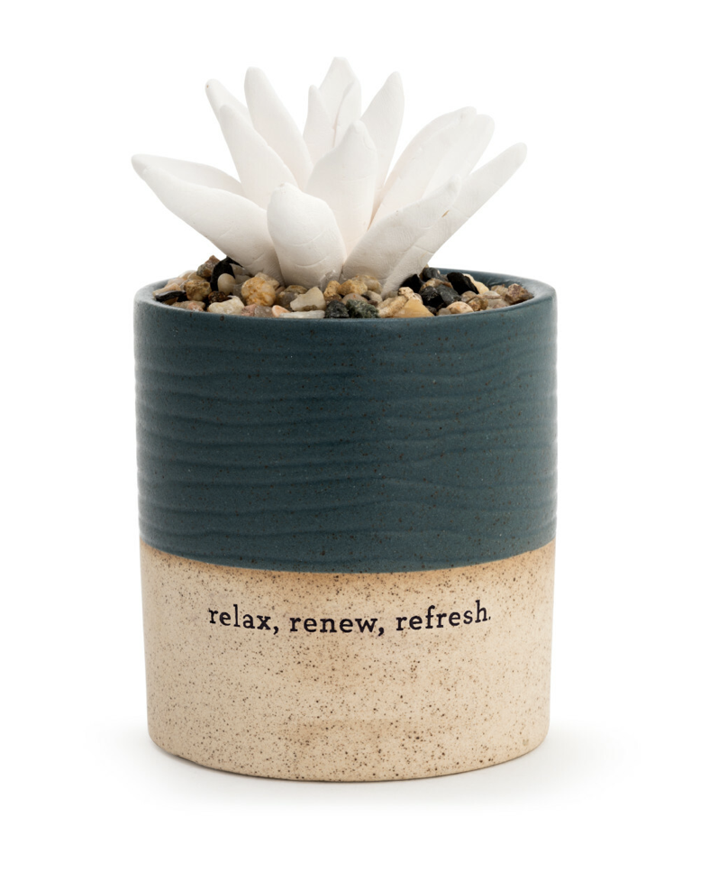 Succulent Oil Diffuser- Relax