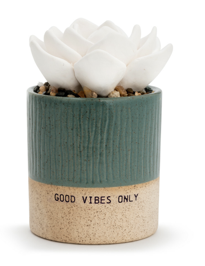 Succulent Oil Diffuser- Good Vibes