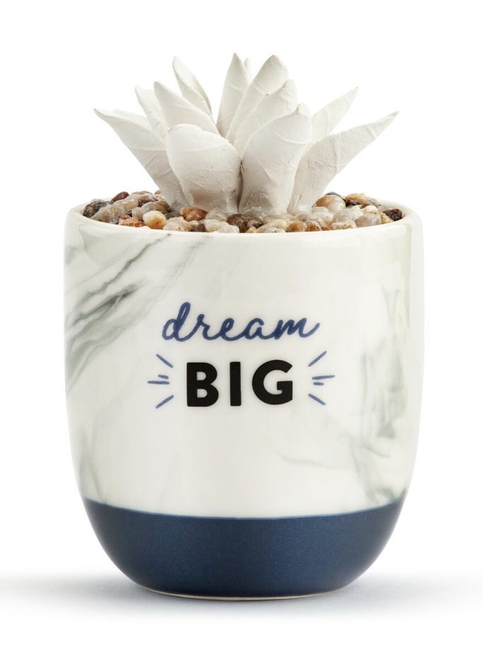 Succulent Oil Diffuser- Dream Big