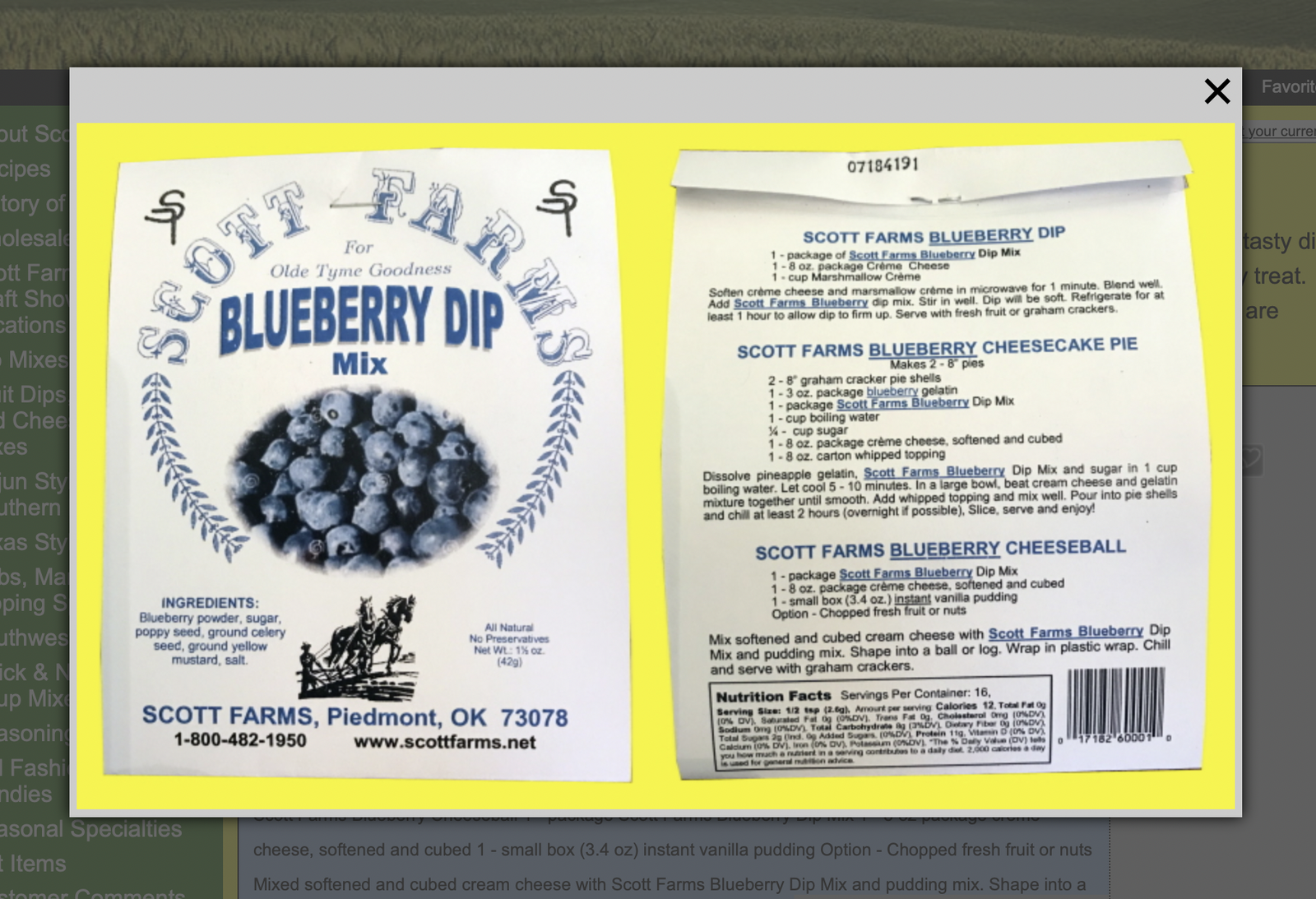 Scott Farms Blueberry Fruit Dip Mix