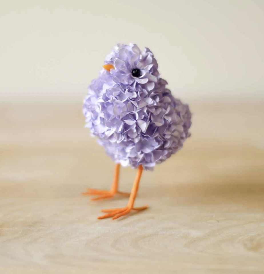 Hydrangea Chick's