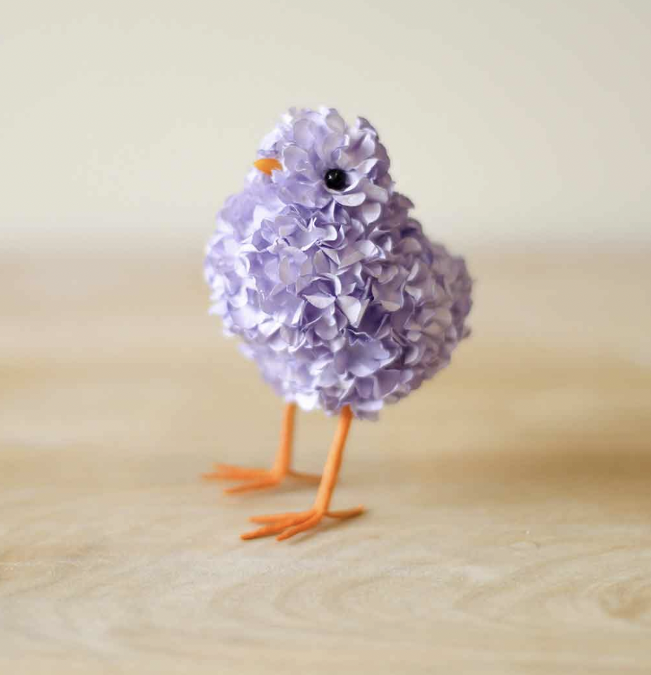 Purple Hydrangea Chick's